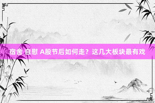 宿舍 自慰 A股节后如何走？这几大板块最有戏