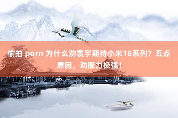 偷拍 porn 为什么劝寰宇期待小米16系列？五点原因，劝服力极强！