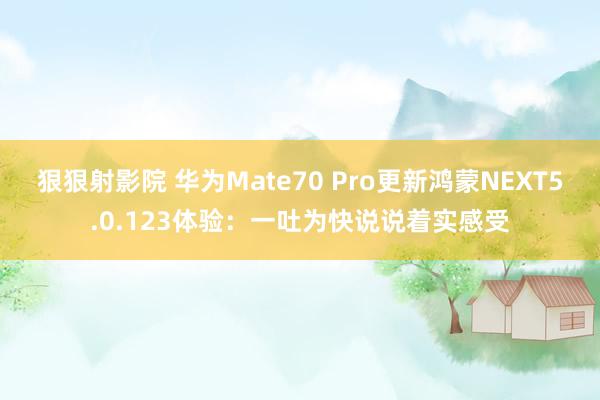 狠狠射影院 华为Mate70 Pro更新鸿蒙NEXT5.0.123体验：一吐为快说说着实感受