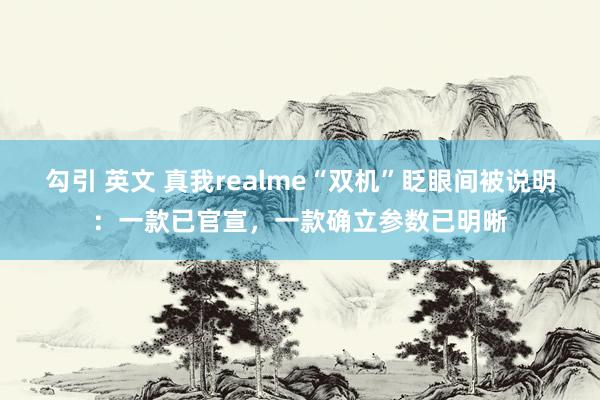 勾引 英文 真我realme“双机”眨眼间被说明：一款已官宣，一款确立参数已明晰