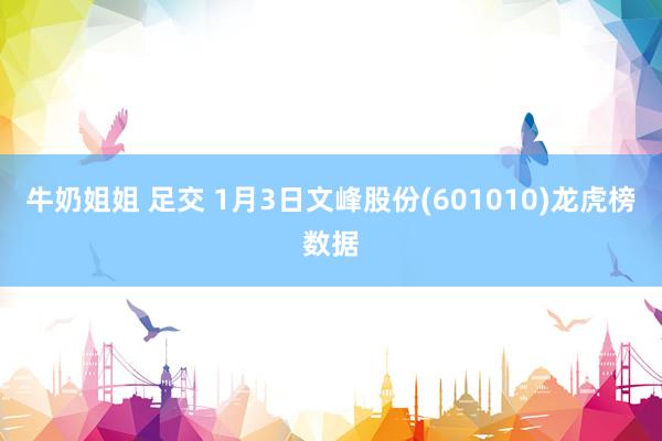 牛奶姐姐 足交 1月3日文峰股份(601010)龙虎榜数据