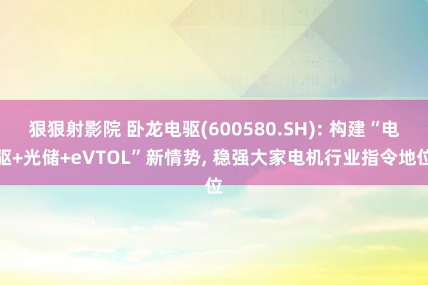狠狠射影院 卧龙电驱(600580.SH): 构建“电驱+光储+eVTOL”新情势, 稳强大家电机行业指令地位