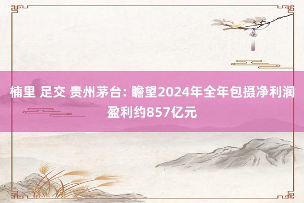 楠里 足交 贵州茅台: 瞻望2024年全年包摄净利润盈利约857亿元