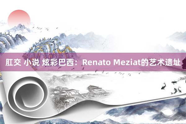肛交 小说 炫彩巴西：Renato Meziat的艺术遗址