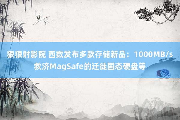 狠狠射影院 西数发布多款存储新品：1000MB/s救济MagSafe的迁徙固态硬盘等