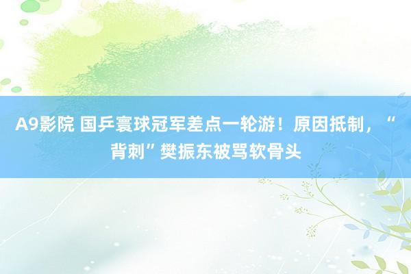 A9影院 国乒寰球冠军差点一轮游！原因抵制，“背刺”樊振东被骂软骨头