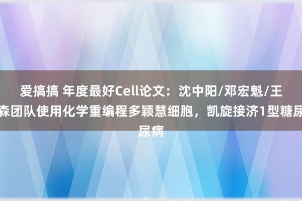 爱搞搞 年度最好Cell论文：沈中阳/邓宏魁/王树森团队使用化学重编程多颖慧细胞，凯旋接济1型糖尿病