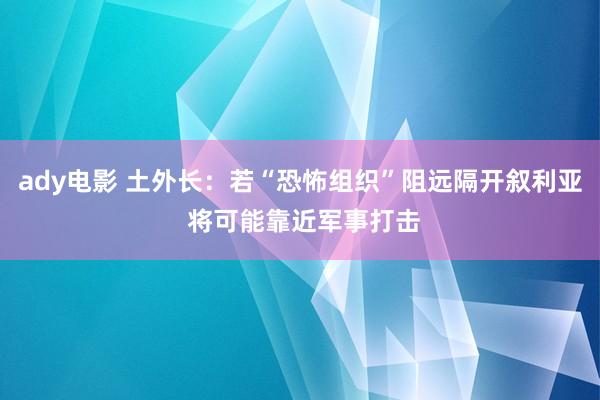 ady电影 土外长：若“恐怖组织”阻远隔开叙利亚 将可能靠近军事打击