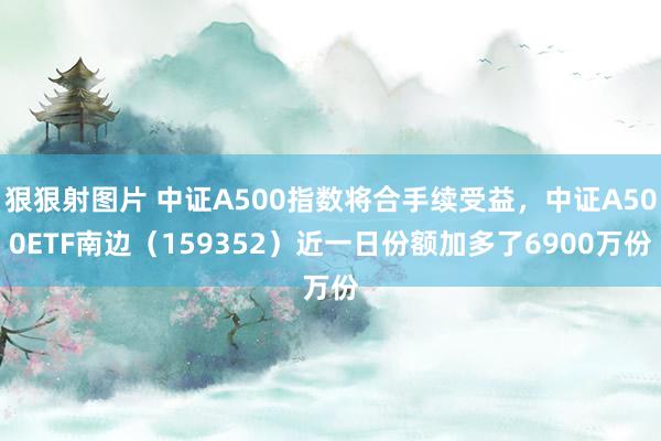 狠狠射图片 中证A500指数将合手续受益，中证A500ETF南边（159352）近一日份额加多了6900万份