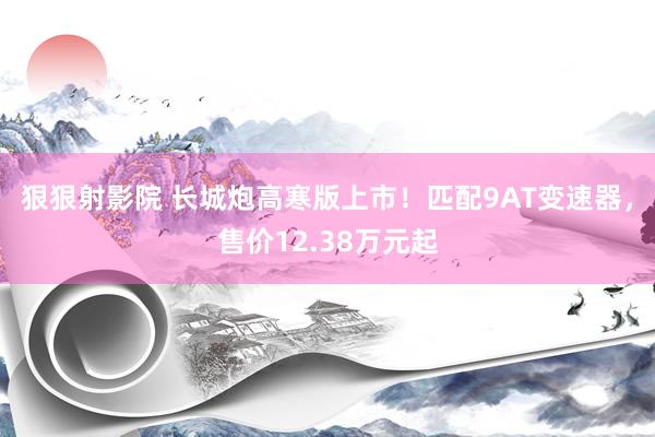狠狠射影院 长城炮高寒版上市！匹配9AT变速器，售价12.38万元起