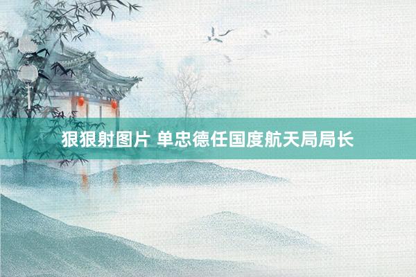 狠狠射图片 单忠德任国度航天局局长