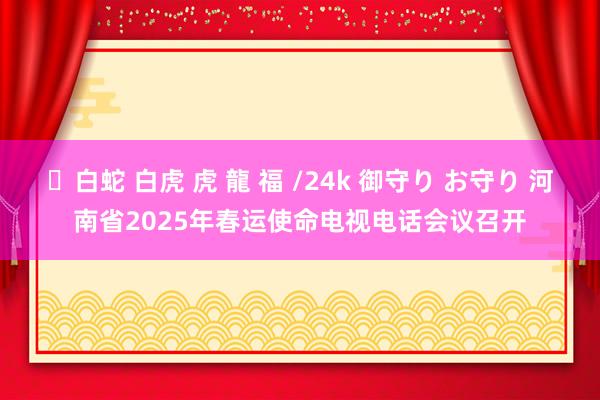 ✨白蛇 白虎 虎 龍 福 /24k 御守り お守り 河南省2025年春运使命电视电话会议召开