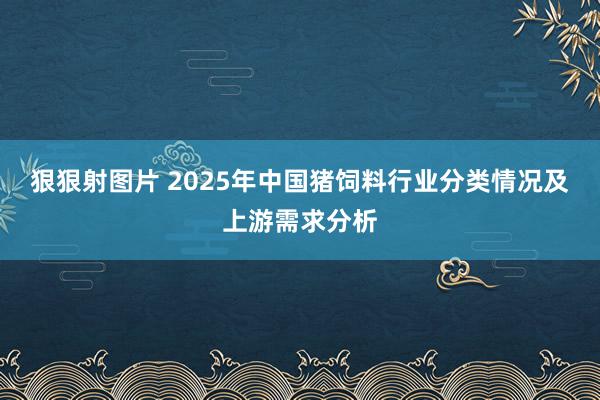 狠狠射图片 2025年中国猪饲料行业分类情况及上游需求分析