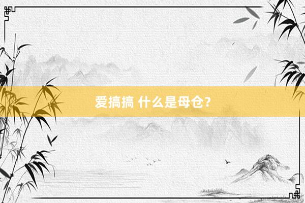 爱搞搞 什么是母仓？