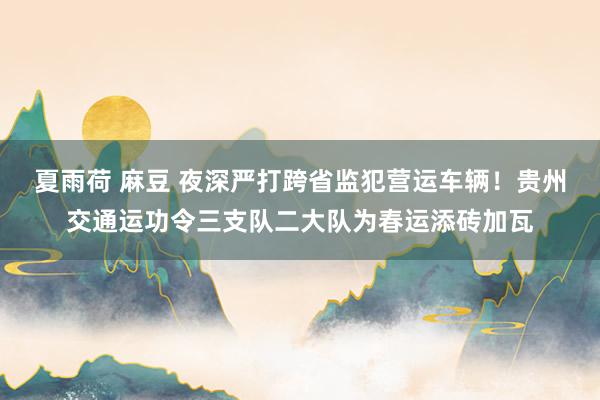 夏雨荷 麻豆 夜深严打跨省监犯营运车辆！贵州交通运功令三支队二大队为春运添砖加瓦