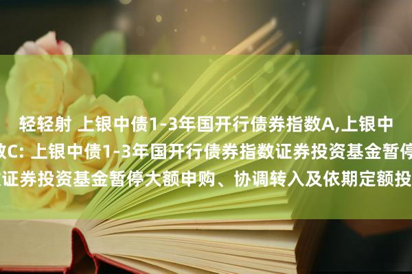 轻轻射 上银中债1-3年国开行债券指数A,上银中债1-3年国开行债券指数C: 上银中债1-3年国开行债券指数证券投资基金暂停大额申购、协调转入及依期定额投资业务的公告