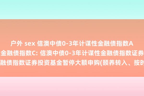 户外 sex 信澳中债0-3年计谋性金融债指数A,信澳中债0-3年计谋性金融债指数C: 信澳中债0-3年计谋性金融债指数证券投资基金暂停大额申购(颐养转入、按时定额投资)公告