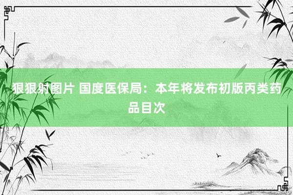 狠狠射图片 国度医保局：本年将发布初版丙类药品目次