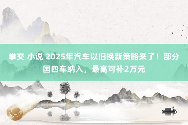 拳交 小说 2025年汽车以旧换新策略来了！部分国四车纳入，最高可补2万元
