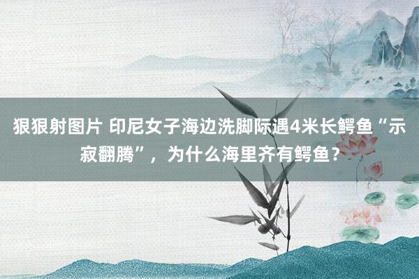 狠狠射图片 印尼女子海边洗脚际遇4米长鳄鱼“示寂翻腾”，为什么海里齐有鳄鱼？