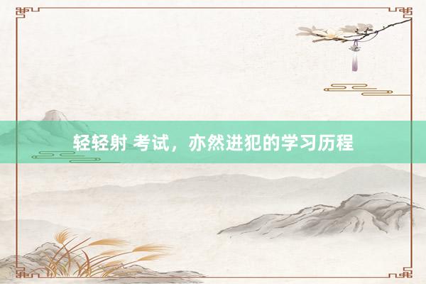 轻轻射 考试，亦然进犯的学习历程