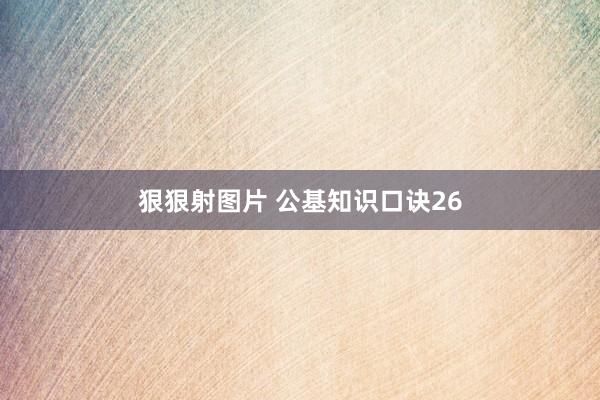 狠狠射图片 公基知识口诀26