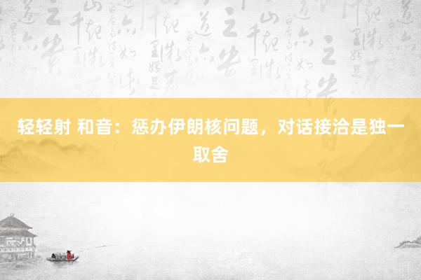 轻轻射 和音：惩办伊朗核问题，对话接洽是独一取舍
