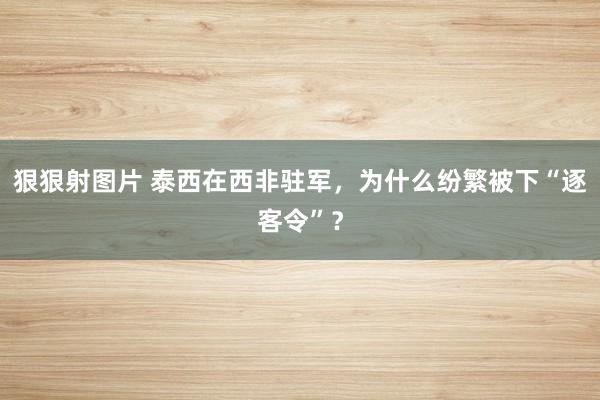 狠狠射图片 泰西在西非驻军，为什么纷繁被下“逐客令”？