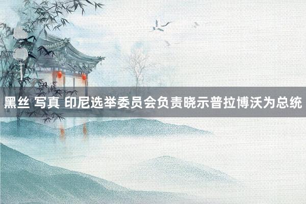 黑丝 写真 印尼选举委员会负责晓示普拉博沃为总统