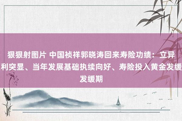 狠狠射图片 中国祯祥郭晓涛回来寿险功绩：立异顺利突显、当年发展基础执续向好、寿险投入黄金发缓期