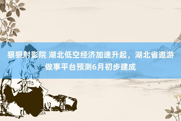 狠狠射影院 湖北低空经济加速升起，湖北省遨游做事平台预测6月初步建成