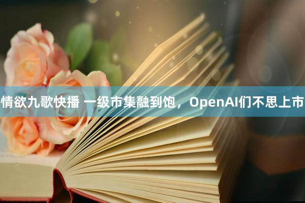 情欲九歌快播 一级市集融到饱，OpenAI们不思上市