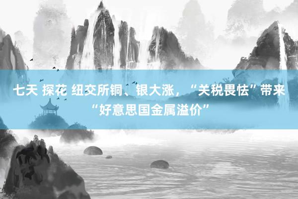 七天 探花 纽交所铜、银大涨，“关税畏怯”带来“好意思国金属溢价”