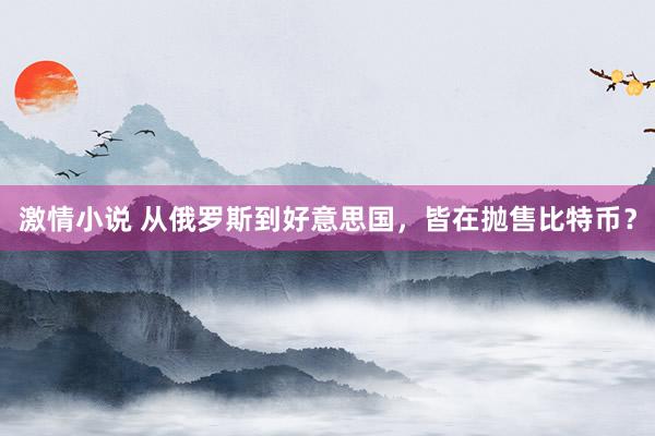 激情小说 从俄罗斯到好意思国，皆在抛售比特币？