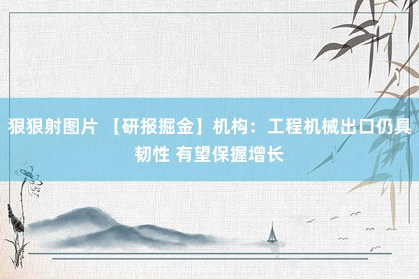 狠狠射图片 【研报掘金】机构：工程机械出口仍具韧性 有望保握增长