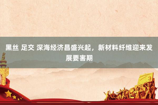 黑丝 足交 深海经济昌盛兴起，新材料纤维迎来发展要害期