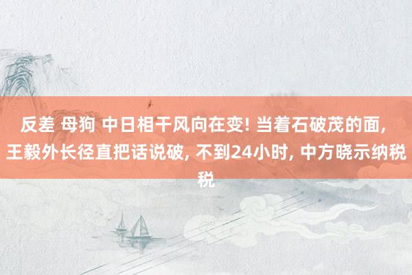 反差 母狗 中日相干风向在变! 当着石破茂的面, 王毅外长径直把话说破, 不到24小时, 中方晓示纳税
