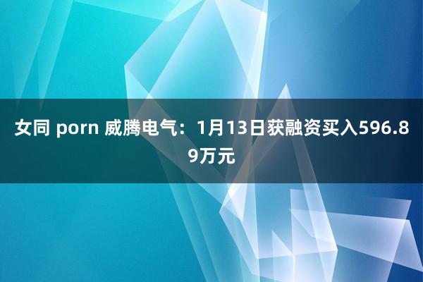 女同 porn 威腾电气：1月13日获融资买入596.89万元