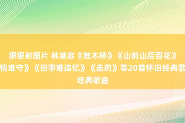 狠狠射图片 林淑容《独木桥》《山前山后百花》《情难守》《旧事难追忆》《走的》等20首怀旧经典歌曲