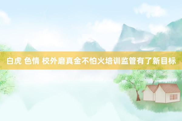 白虎 色情 校外磨真金不怕火培训监管有了新目标