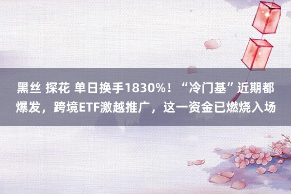 黑丝 探花 单日换手1830%！“冷门基”近期都爆发，跨境ETF激越推广，这一资金已燃烧入场