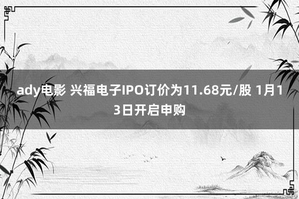 ady电影 兴福电子IPO订价为11.68元/股 1月13日开启申购
