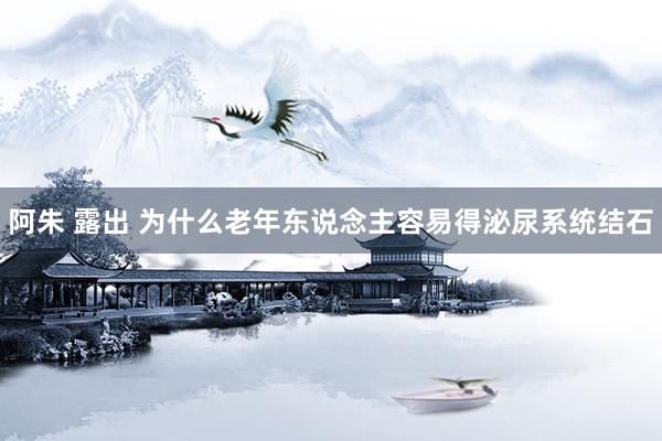 阿朱 露出 为什么老年东说念主容易得泌尿系统结石
