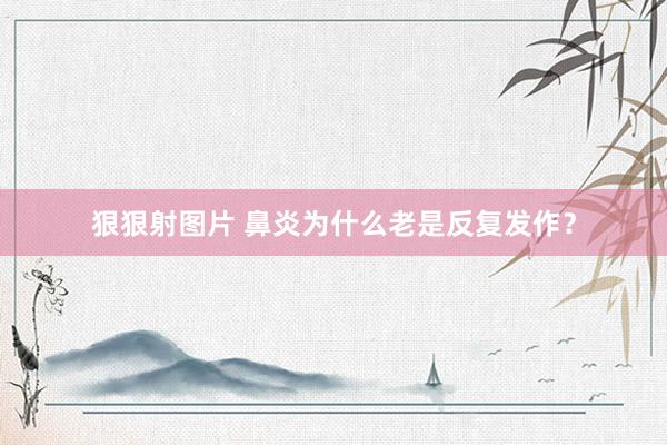 狠狠射图片 鼻炎为什么老是反复发作？