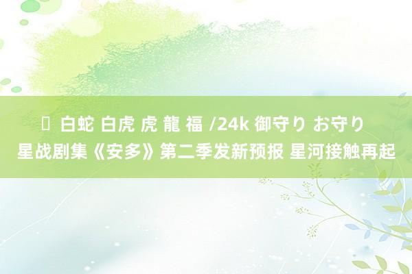 ✨白蛇 白虎 虎 龍 福 /24k 御守り お守り 星战剧集《安多》第二季发新预报 星河接触再起
