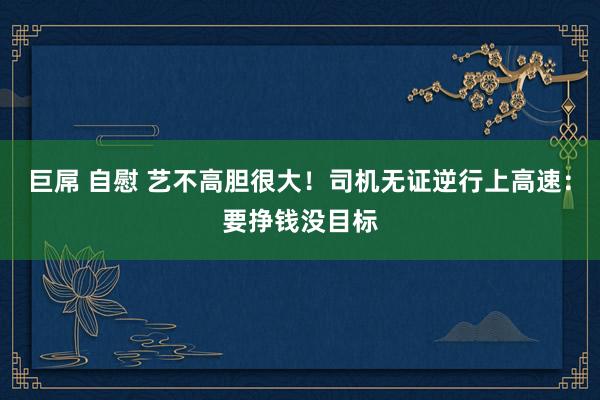 巨屌 自慰 艺不高胆很大！司机无证逆行上高速：要挣钱没目标