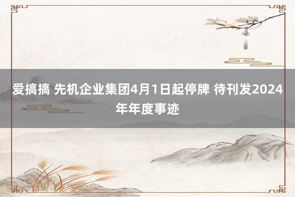 爱搞搞 先机企业集团4月1日起停牌 待刊发2024年年度事迹