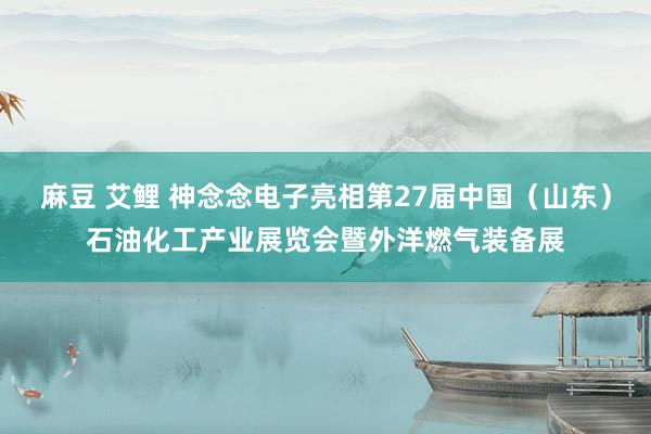 麻豆 艾鲤 神念念电子亮相第27届中国（山东）石油化工产业展览会暨外洋燃气装备展