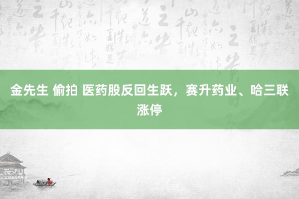 金先生 偷拍 医药股反回生跃，赛升药业、哈三联涨停