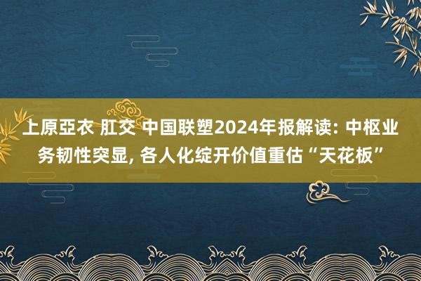 上原亞衣 肛交 中国联塑2024年报解读: 中枢业务韧性突显, 各人化绽开价值重估“天花板”